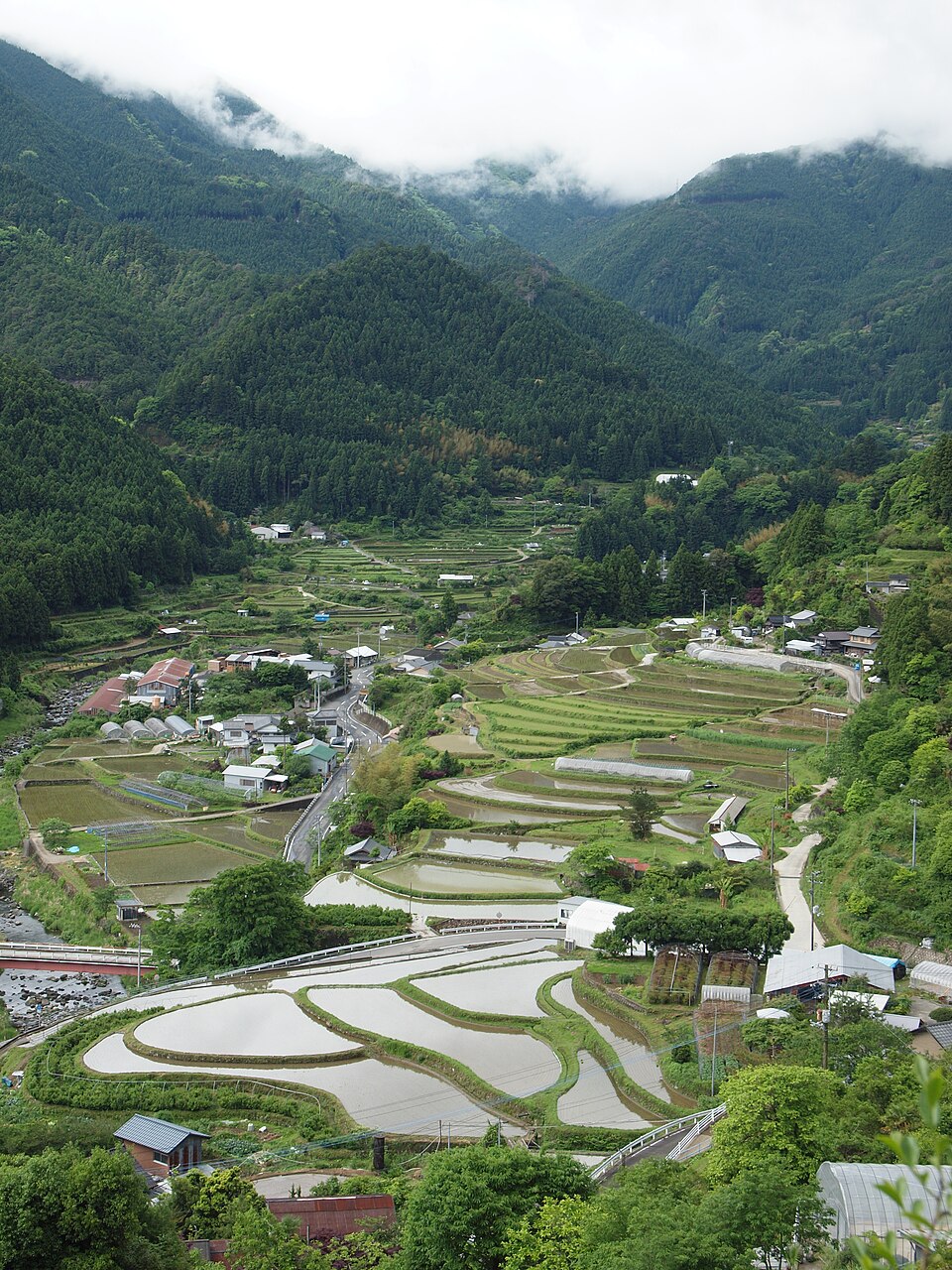 棚田　上勝山村